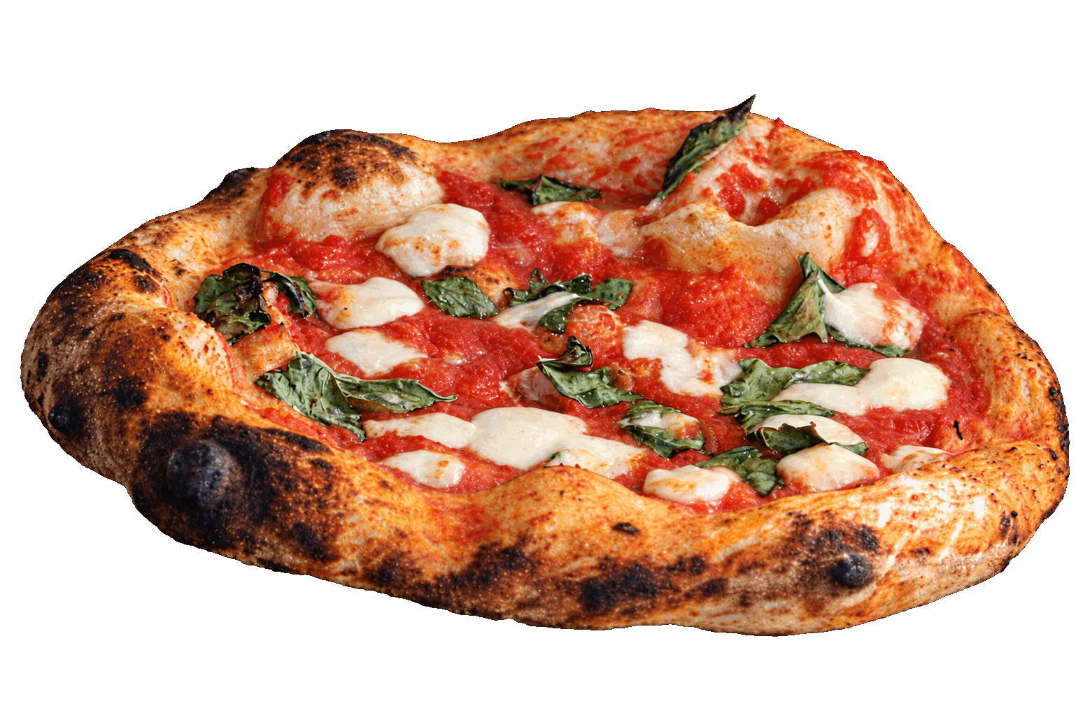 An Onino pizza with blistered crust, mozzarella and basil