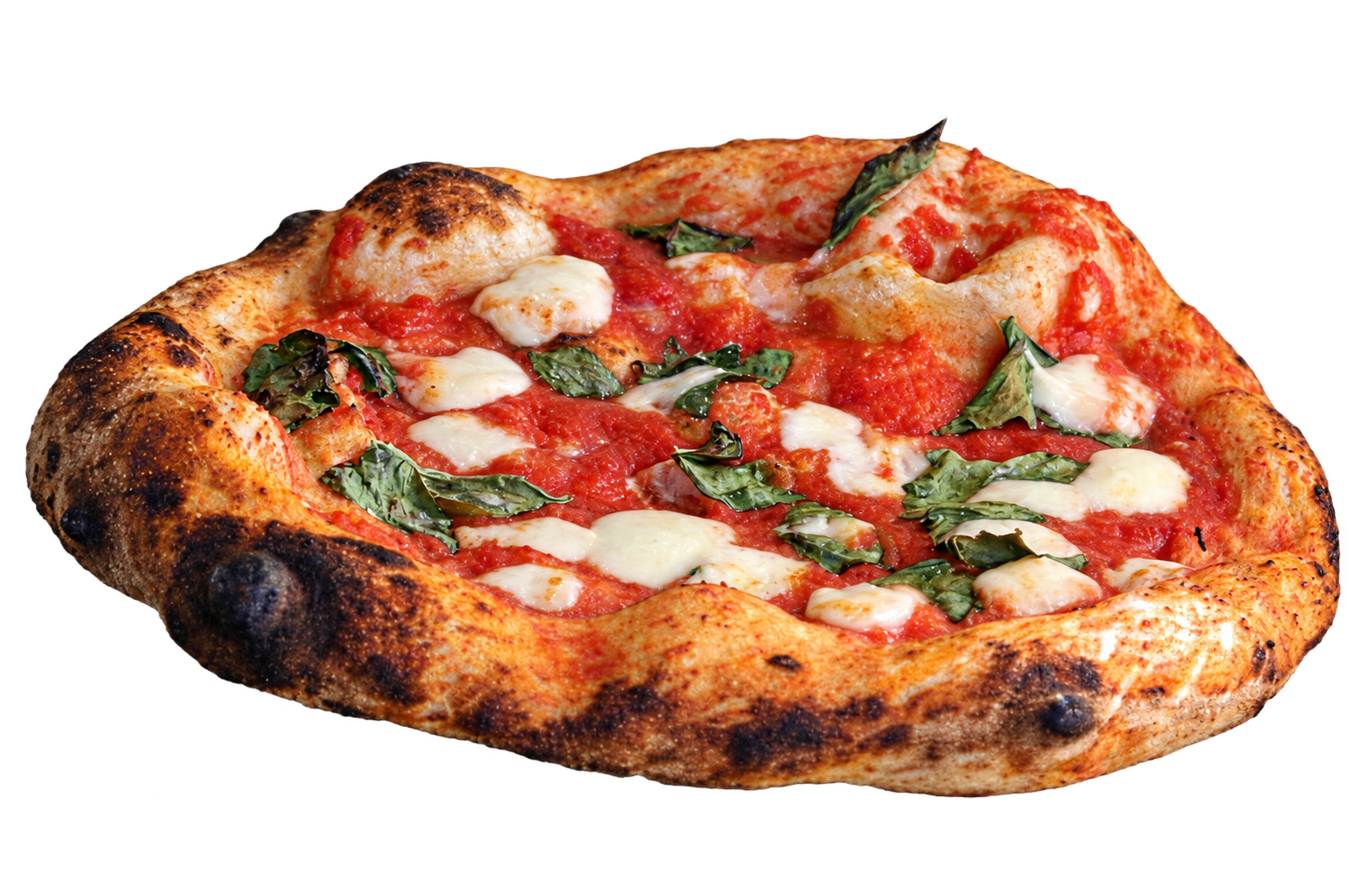 An Onino pizza with blistered crust, mozzarella and basil